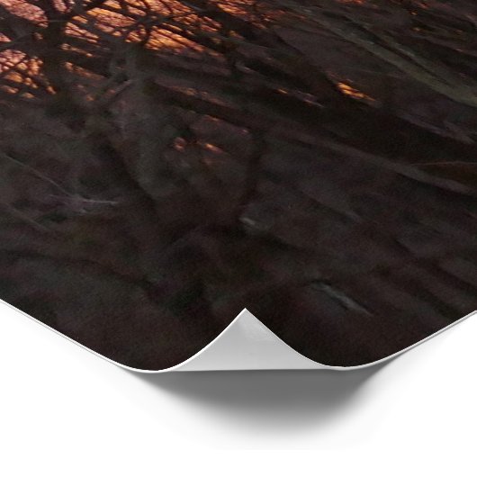 Poster Soleil d'hiver II (Coin)