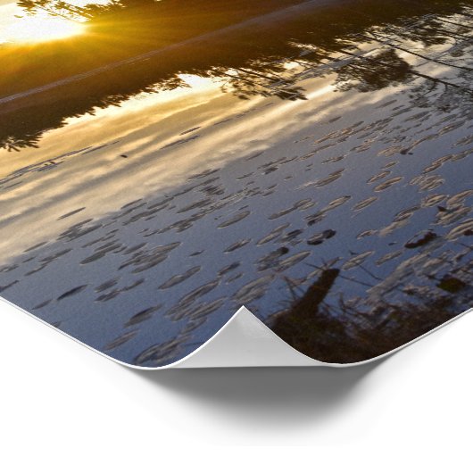 Poster Soleil du lac Galliard, Audubon Bird Sanctuary (Coin)