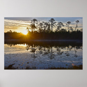 Poster Soleil du lac Galliard, Audubon Bird Sanctuary