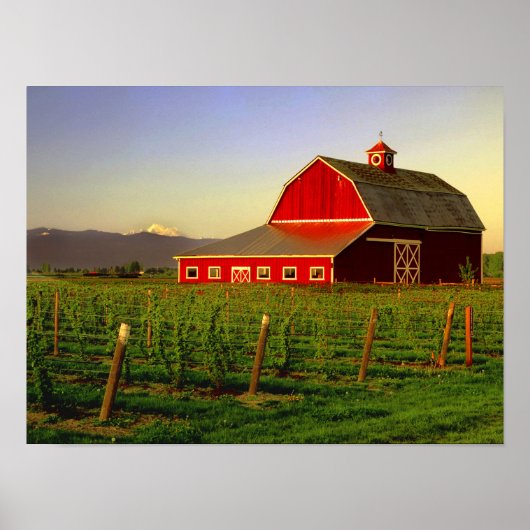 Poster Soleil du soir dans une grange à Skagit à Washingt (Devant)