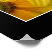 Poster Soleil II (Coin)