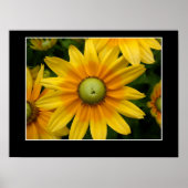 Poster Soleil II (Devant)