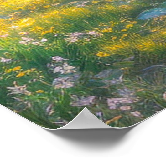 Poster Soleil matinal au-dessus d'un marais vert verdoyan (Coin)