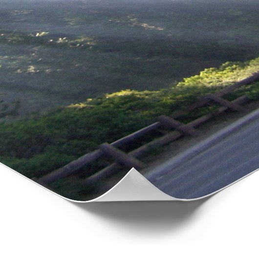 Poster Soleil matinal au Grant Tree général (Coin)