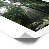 Poster Soleil, Misty Morning (Coin)