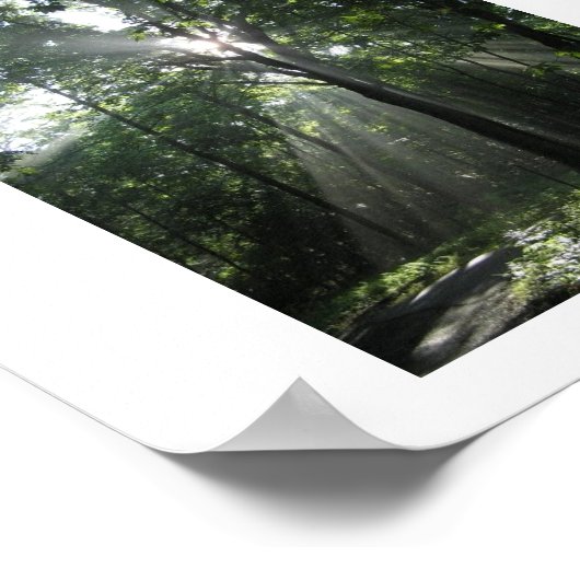 Poster Soleil, Misty Morning (Coin)