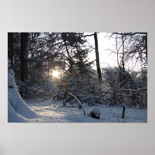 Poster Soleil reflet à travers les arbres (Devant)