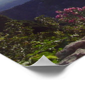 Poster Soleil sicilien (Coin)