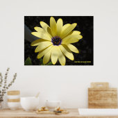 Poster Soleil sur une marguerite jaune (Cuisine)