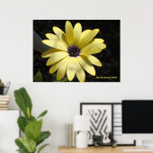 Poster Soleil sur une marguerite jaune (Bureau à domicile)