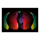 Poster Solipsisme (Devant)