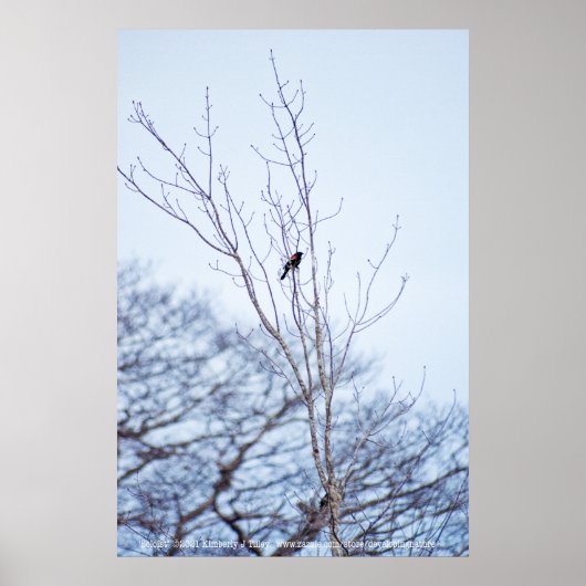 Poster Soliste (Devant)