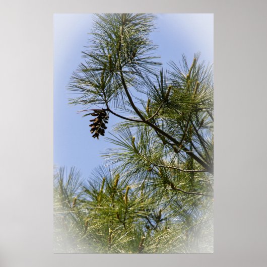 Poster Solitair (Devant)