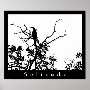 Poster Solitude