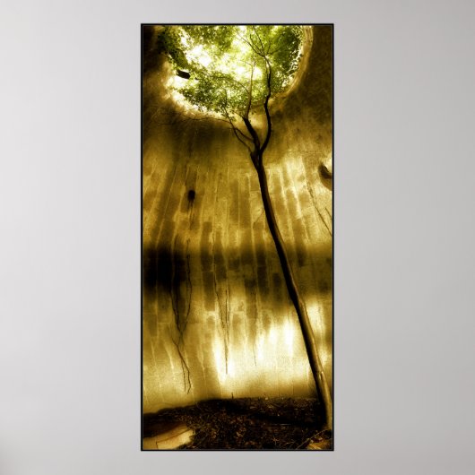 Poster Solitude (Devant)