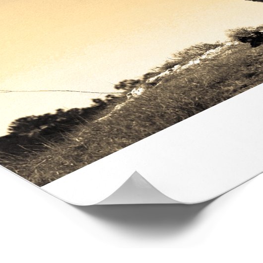 Poster Solitude (Coin)