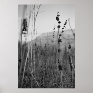 Poster solitude