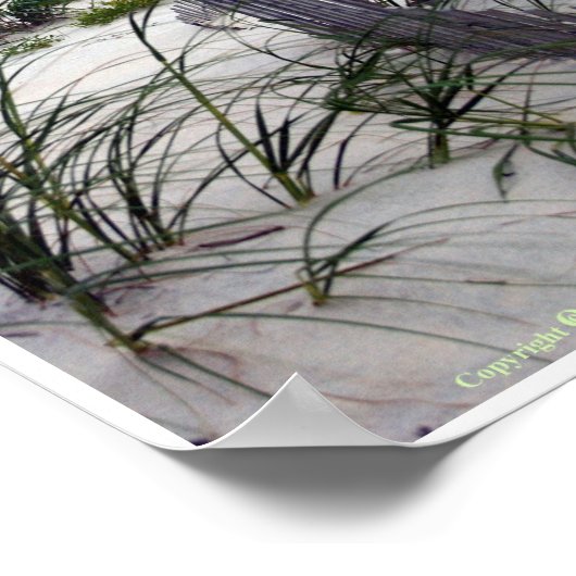 Poster Solitude (Coin)