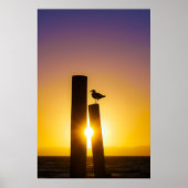 Poster Solitude au crépuscule (Devant)