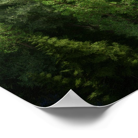 Poster Solitude Cwm Imprimer (Coin)