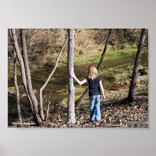 Poster Solitude dans les arbres (Devant)
