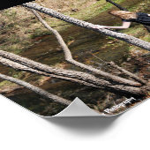 Poster Solitude dans les arbres (Coin)