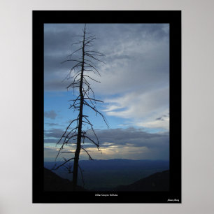 Poster Solitude du canyon Miller