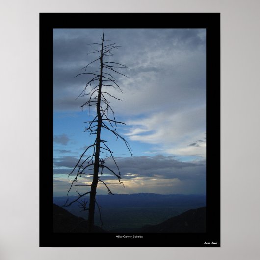 Poster Solitude du canyon Miller (Devant)