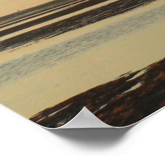 Poster Solo Tree sur Cape Cod Beach Photo (Coin)