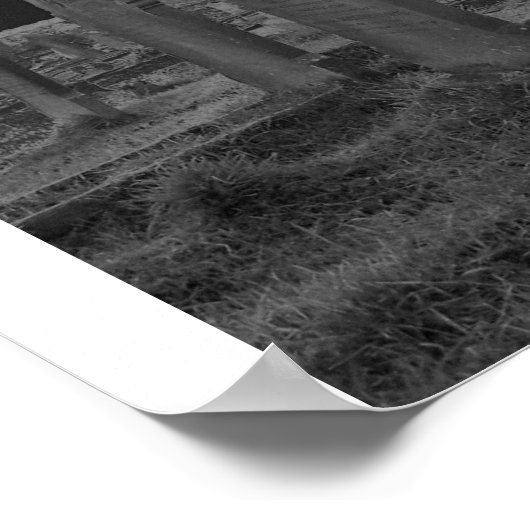 Poster Solorisé (Coin)