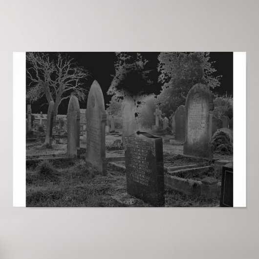 Poster Solorisé (Devant)