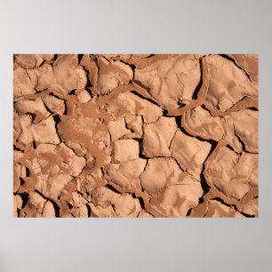 Poster sols Brown