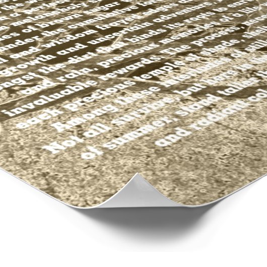 Poster Solstice d'hiver (Coin)