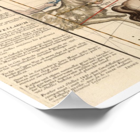 Poster Solstice d'hiver (Coin)