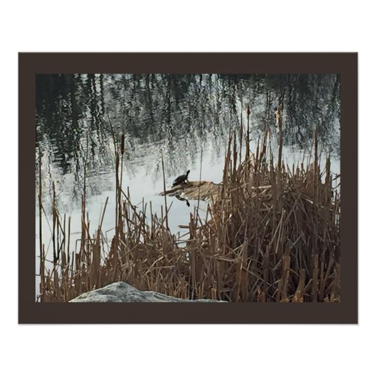 Poster Solstice d'hiver (Devant)