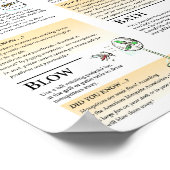 Poster Solutions pour moustiques respectueuses de la faun (Coin)