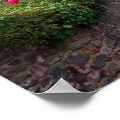 Poster Somerset (Coin)