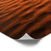 Poster Somewhere Else – Facing the World (Coin)