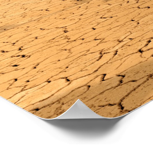 Poster Somewhere No. 3 (Coin)