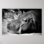 Poster Sommeil (Devant)