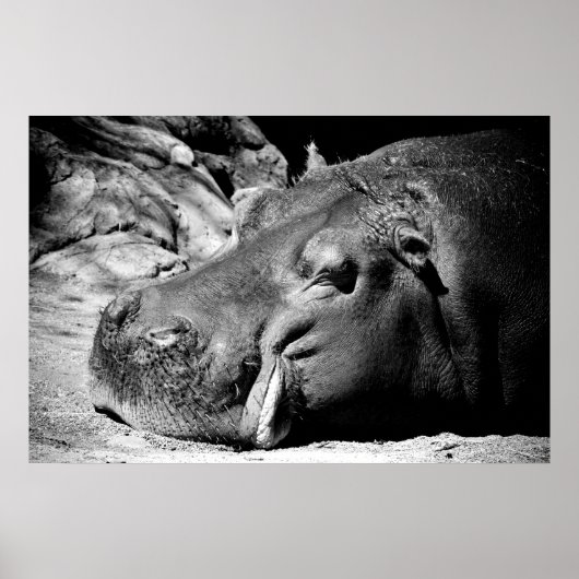 Poster Sommeil (Devant)