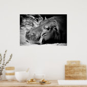 Poster Sommeil (Cuisine)