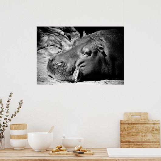 Poster Sommeil (Cuisine)