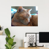 Poster Sommeil de chat douillet (Bureau à domicile)