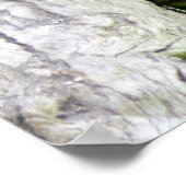 Poster Sommeil de tigre (Coin)