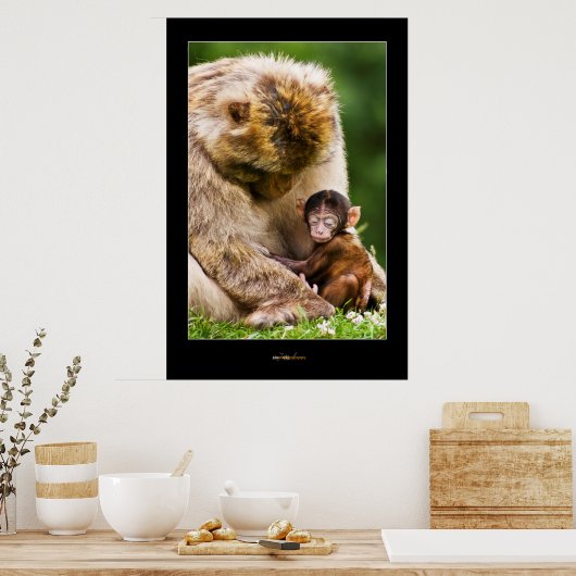 Poster Sommeil petit singe (Cuisine)