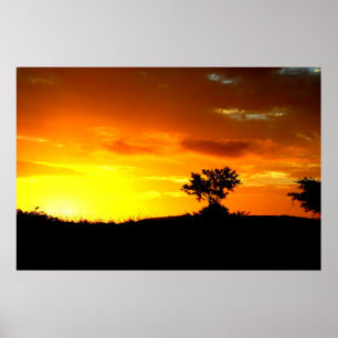 Poster Sommeils de l'Afrique