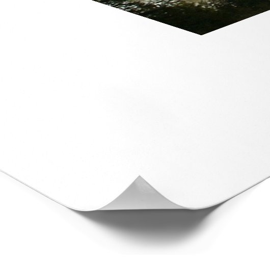 Poster sommet comté colorado (Coin)