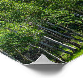 Poster sommet thorodin au-dessus des bois à la porte d'or (Coin)