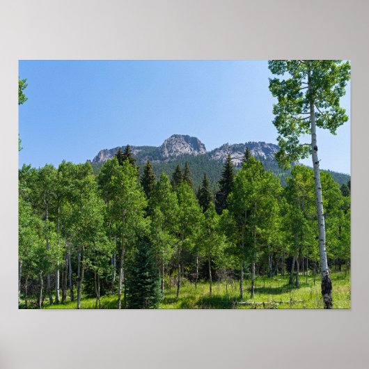 Poster sommet thorodin au-dessus des bois à la porte d'or (Devant)